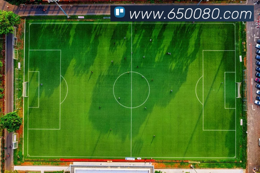 开云官方登陆入口APP 封面图